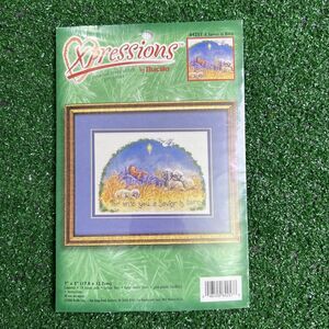 Bucilla Xpressions Counted Cross Stitch Pre-Print A Savior Is Born 84257‎ New